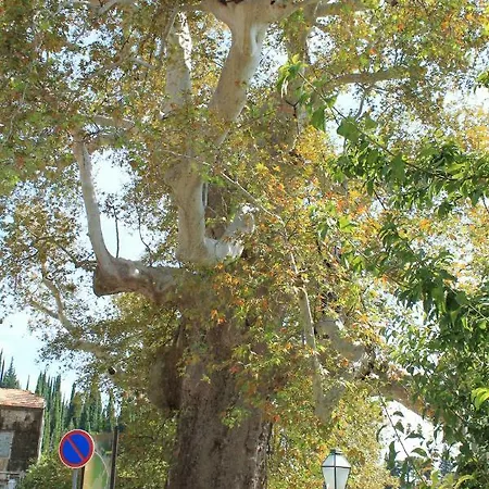 Апартаменты Platana Трстено