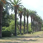 Platana 特斯特诺